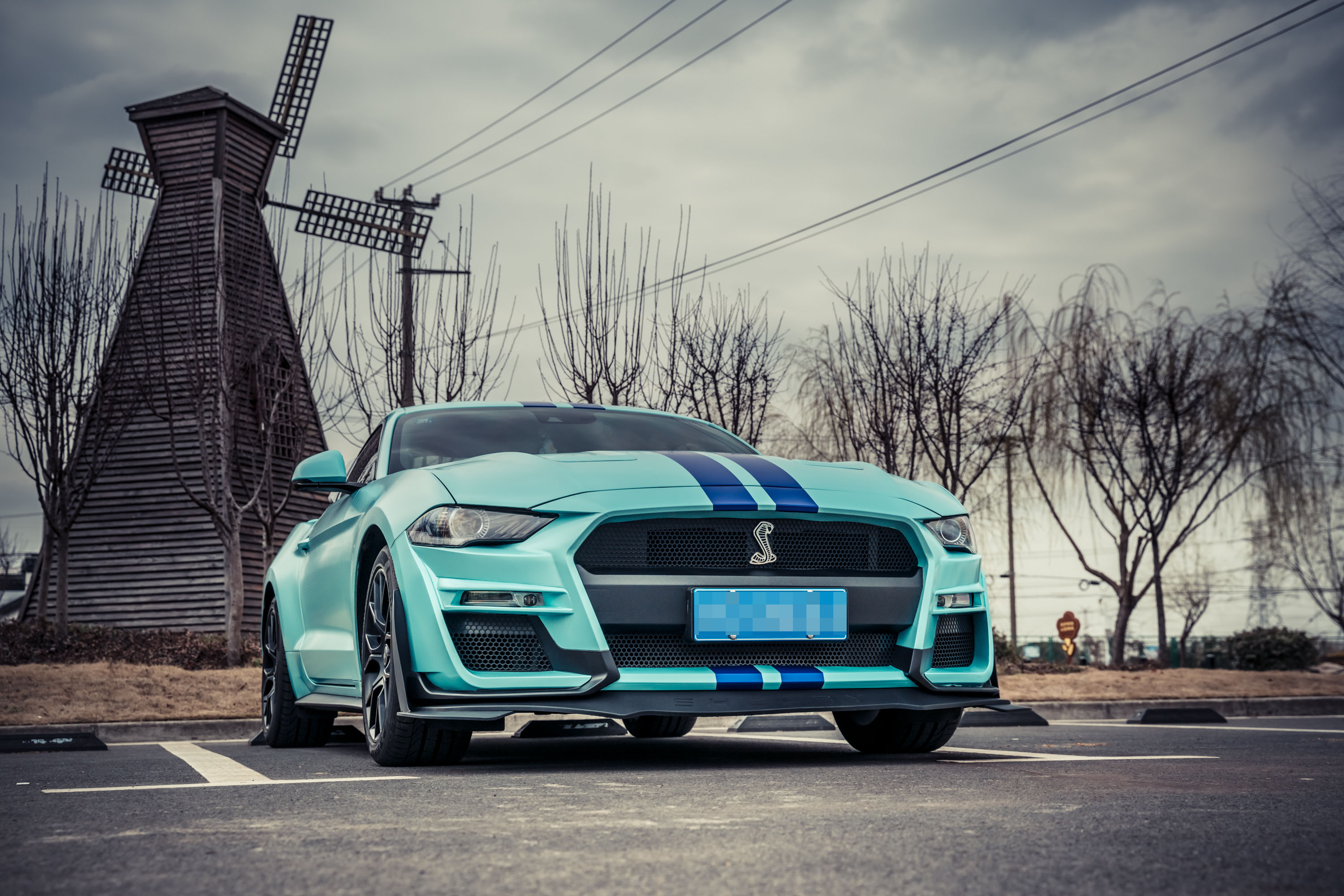 车主访谈：从Mustang到<font color='red'>Shelby</font>，年轻的我都经历了什么？